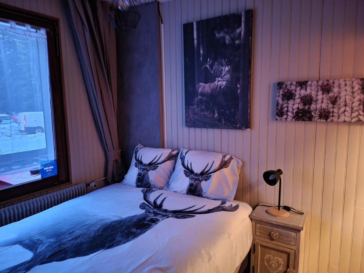 Belle Hutte Cote Pistes De 2 Appartement
